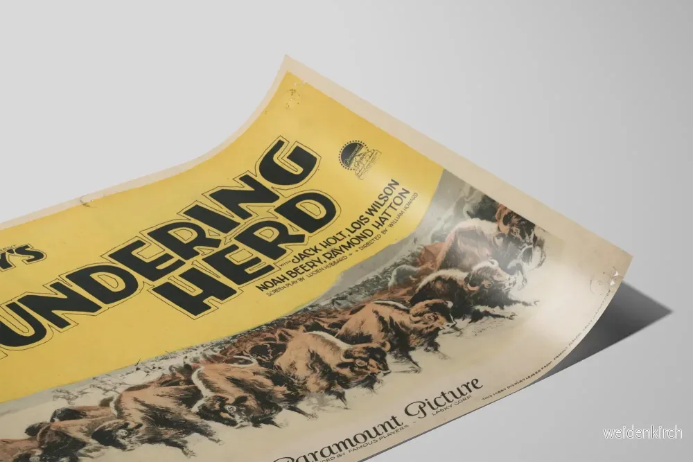 Vintageposter The Thundering Herd - Väggdekoration i västerländsk stil - Bild 2