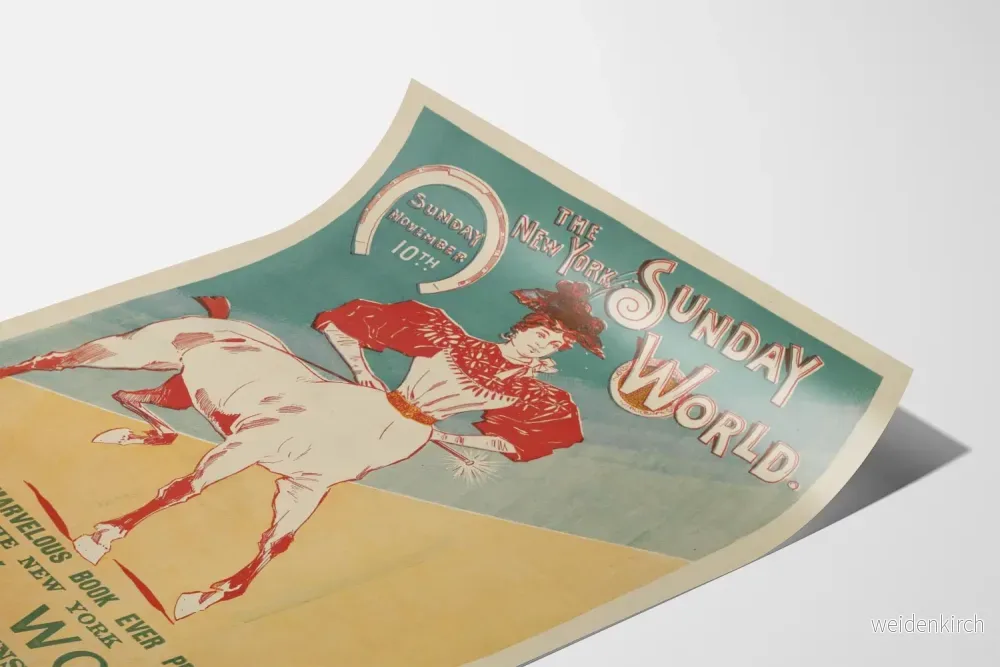 Vintageposter The New York Sunday World, utgåva den 10 november 1895 - Bild 3