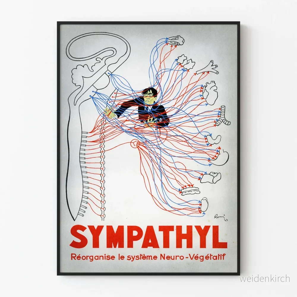 Vintage medicinsk poster av det neurovegetativa systemet Sympathyl