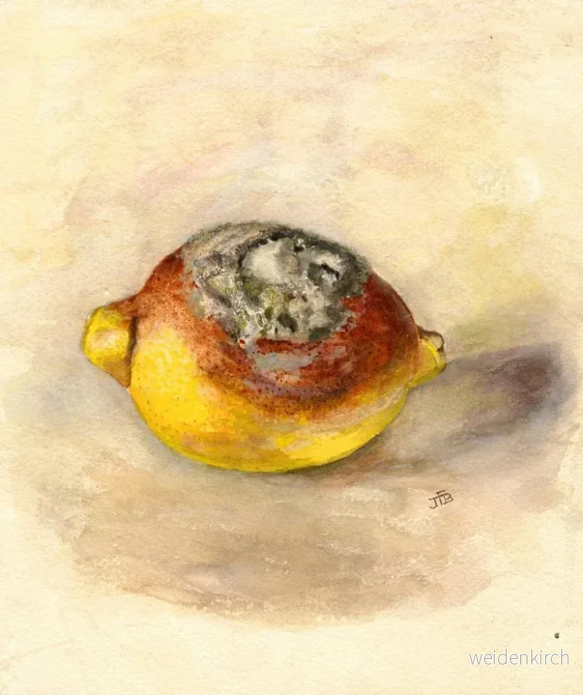 Målning Citrus limon - Anonym | Konsttryck - Bild 2