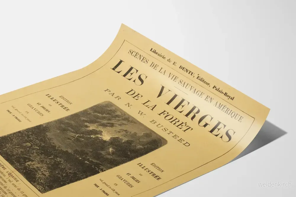 Vintageposter Les Vierges de la Forêt - Gammal gravyr med naturstämning - Bild 3
