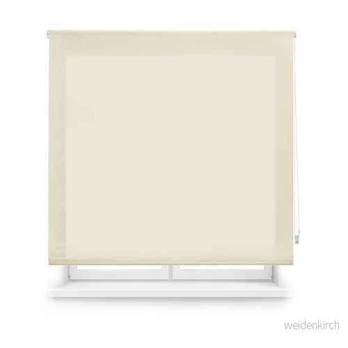 Blindecor skräddarsydd genomskinlig rullgardin beige färg 120 x 250 cm (bredd höjd) tygstorlek 117 245 genomskinliga rullgardiner för fönster 8434363494688