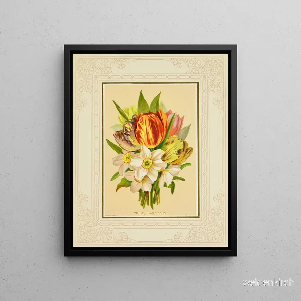 Målning Tulipa, narciss – Marcus Ward & Co. | Konsttryck Målning Tulipa, narciss – Marcus Ward & Co. | Konsttryck