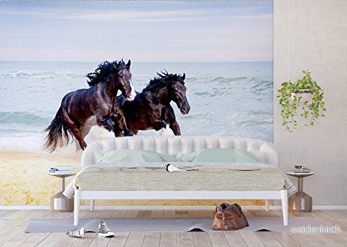AG Design Fototapet FTNxxl0402, Wald 8595577912600