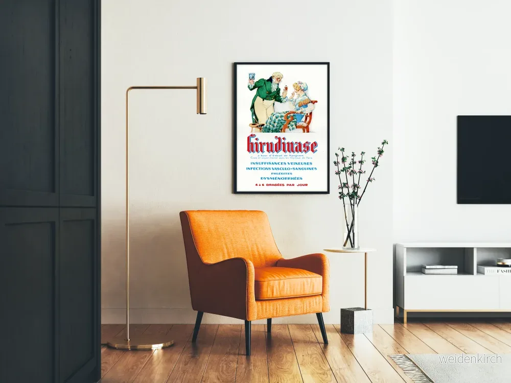 Vintageaffisch Hirudinase - Medicinsk Retro Väggdekoration - Bild 2