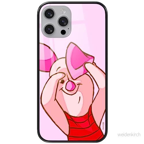 ERT GROUP mobiltelefonfodral för Apple Iphone 13 PRO MAX originalt och officiellt licensierat Disney mönster Winnie the Pooh & Friends 034 tillverkad av härdat glas, skyddsfodral 5904805865657