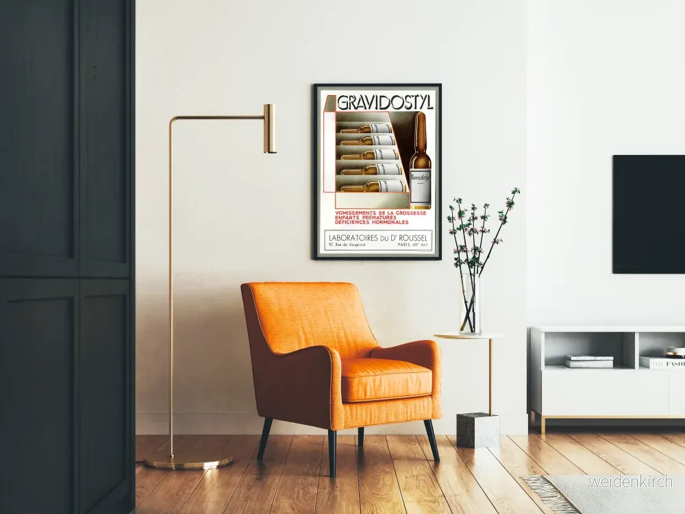 Vintageposter Gravidostyl - Retro Väggdekoration - Bild 2