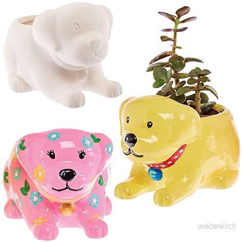 Baker Ross FX694 Keramiska blomkrukor med labradorhund Låda 2 stycken, måla din egen kruka 5063067006045