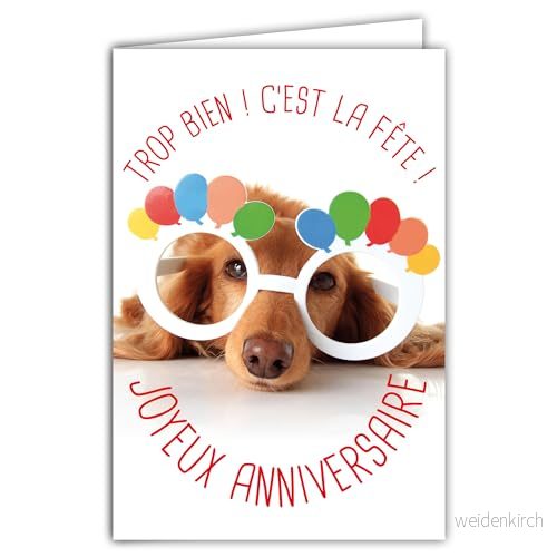 AFIE Humoristiskt grattis på födelsedagen kort med illustrerat kuvert format 17,5 x 12 cm rolig hund rigory förklädda glasögon för att fira fransk tillverkning skapelse 69 6201 3700676656798