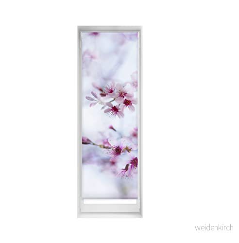 Blindecor Enkla rullgardiner utan borrning tryck digitalt tryckt genomskinlig gardin, lugn, 55 x 150 cm (bredd och höjd). Tygstorlek 52 145 8434363459663