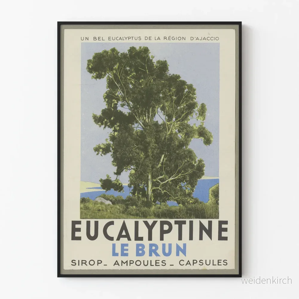 Vintageposter Eucalyptine Le Brun - Naturinspirerad väggdekoration