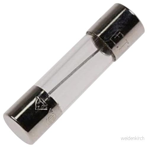 Whirlpool Indesit 481925228125 långsamt blåst glassäkring 5x20MM C00311937 T10A 8058331119375